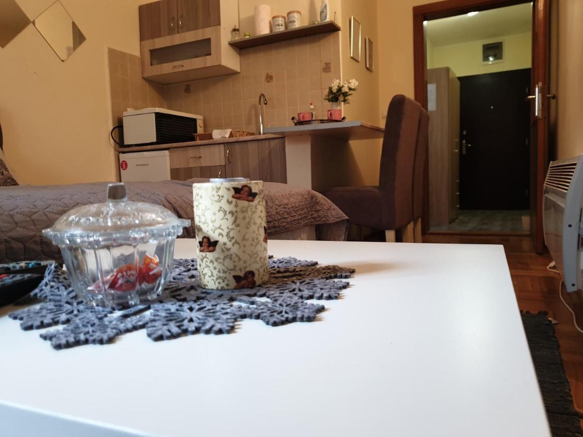 Studio Dunja Vrnjačka Banja Dış mekan fotoğraf
