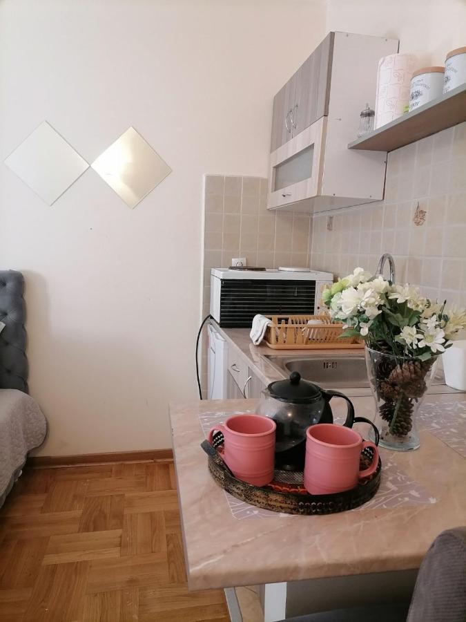 Studio Dunja Vrnjačka Banja Dış mekan fotoğraf