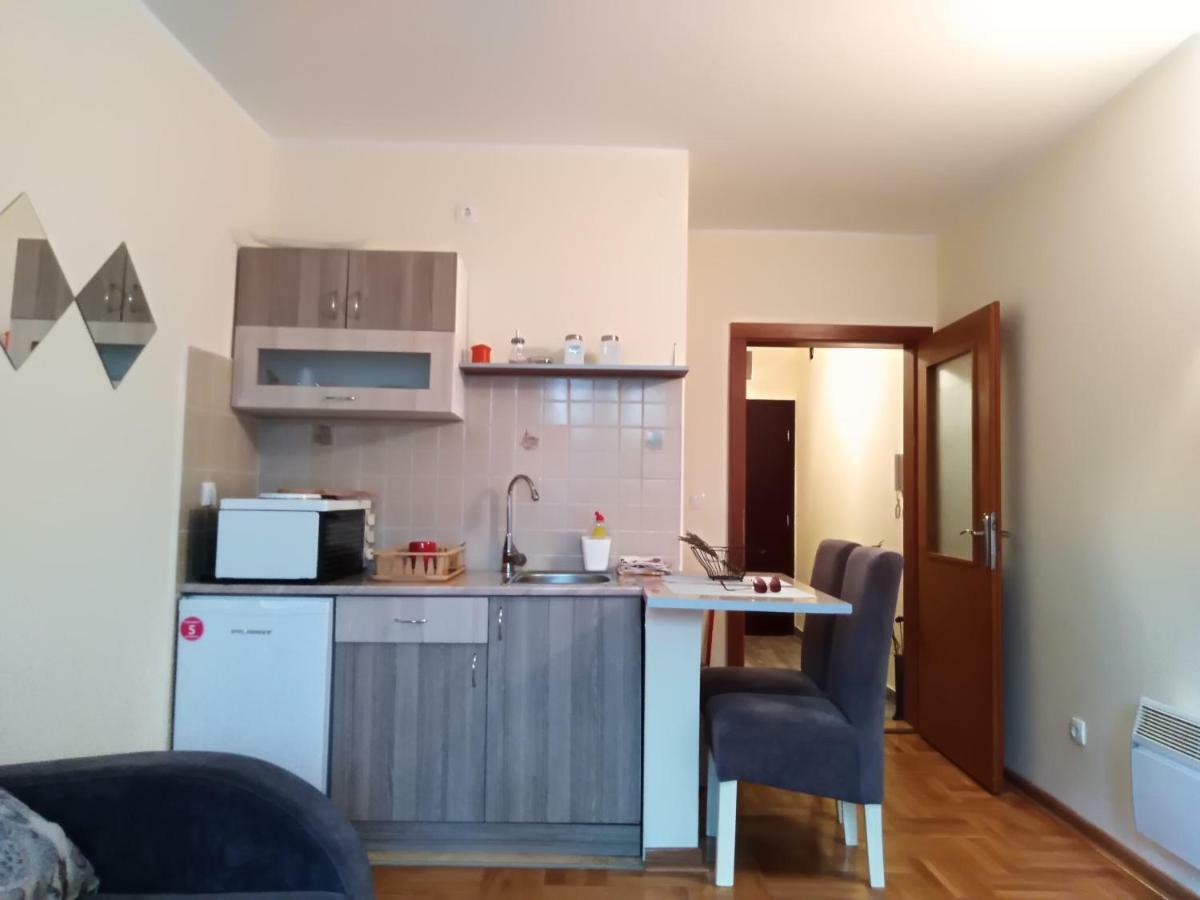 Studio Dunja Vrnjačka Banja Dış mekan fotoğraf